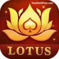 Teen Patti Ultimate Lotus