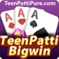 Teen Patti Big Win