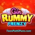 Gin Rummy Frenzy
